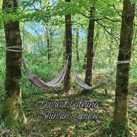 Serenite Verte A La Tuilerie Accommodation La Bazeuge Ngoại thất bức ảnh